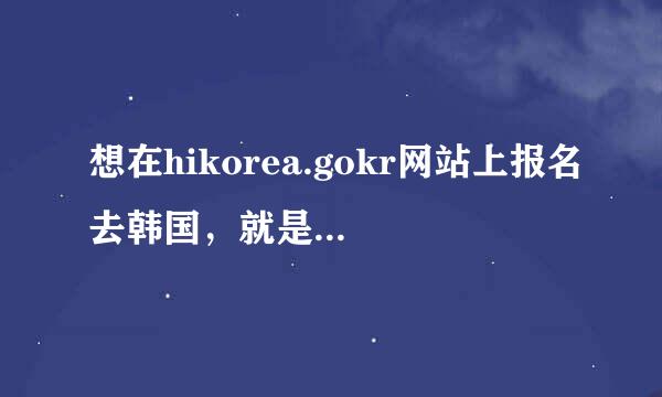 想在hikorea.gokr网站上报名去韩国，就是进不去怎么办钱初？