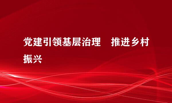 党建引领基层治理 推进乡村振兴