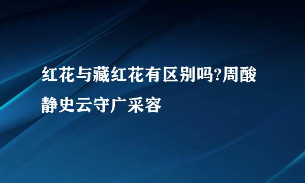 红花与藏红花有区别吗?周酸静史云守广采容