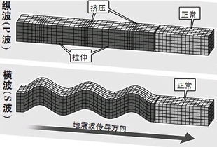 横波纵波的区别