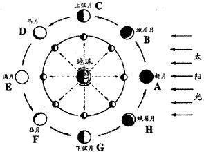 一个月中，月相变化规律是呢黄卷运散坚干妒什么（用图表示）