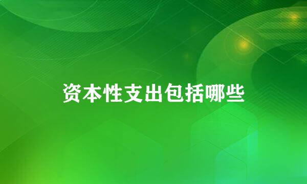 资本性支出包括哪些