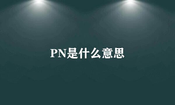 PN是什么意思