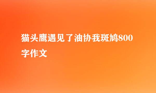 猫头鹰遇见了油协我斑鸠800字作文