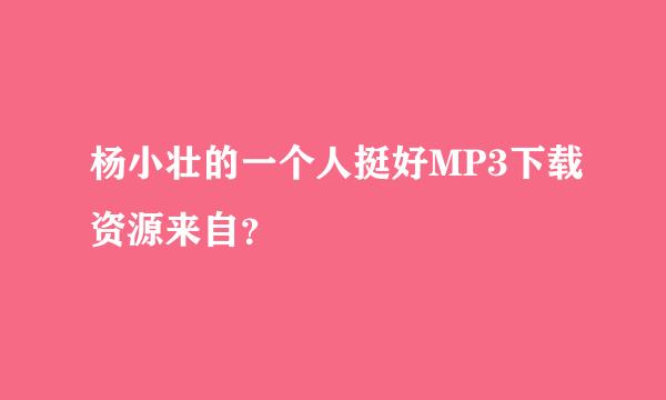 杨小壮的一个人挺好MP3下载资源来自？