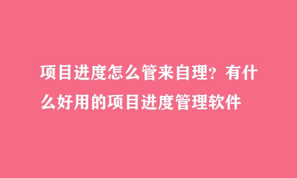 项目进度怎么管来自理？有什么好用的项目进度管理软件