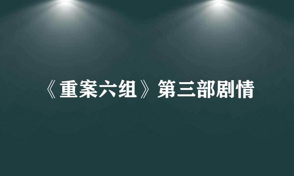 《重案六组》第三部剧情