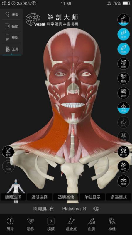 人体解剖3D图网址