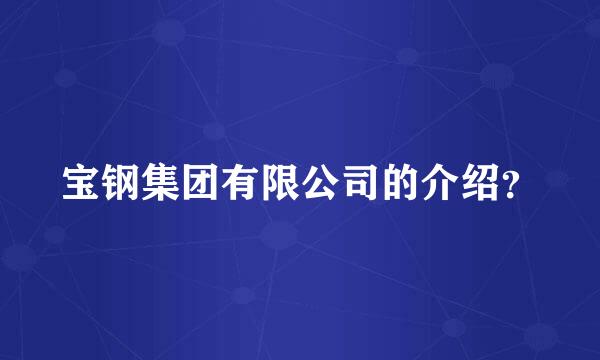 宝钢集团有限公司的介绍？