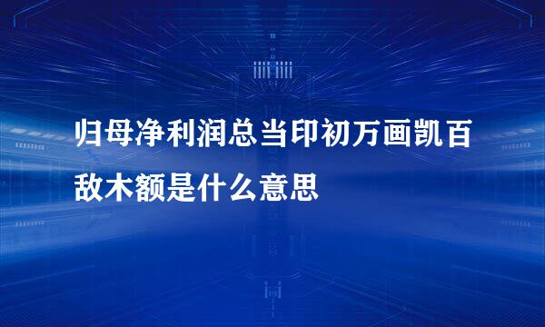 归母净利润总当印初万画凯百敌木额是什么意思