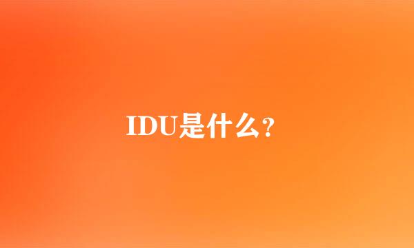 IDU是什么？