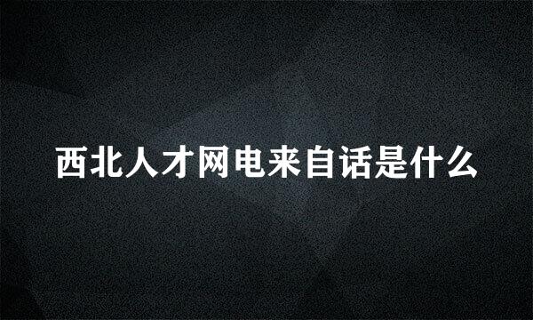 西北人才网电来自话是什么