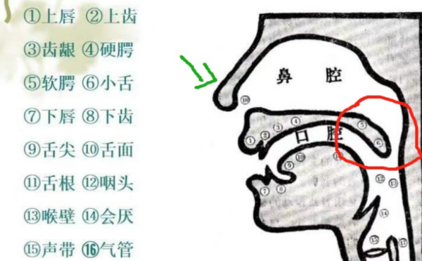 简述你在普通话纠正方音过程中有什么经验教训