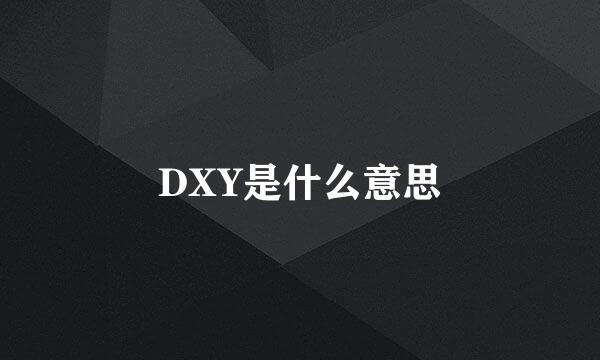 DXY是什么意思