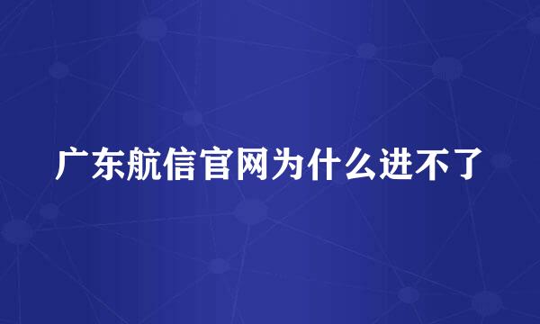 广东航信官网为什么进不了