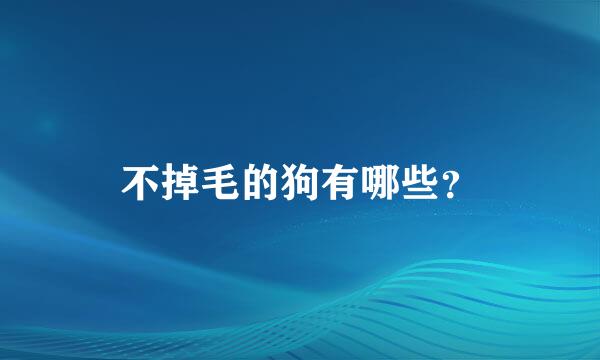 不掉毛的狗有哪些？