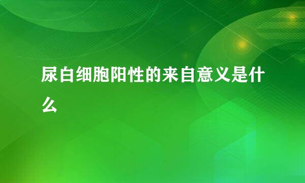 尿白细胞阳性的来自意义是什么