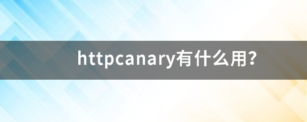 h曲责际北茶普生肉急策范ttpcanary有什么用？