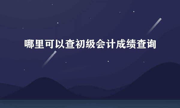 哪里可以查初级会计成绩查询