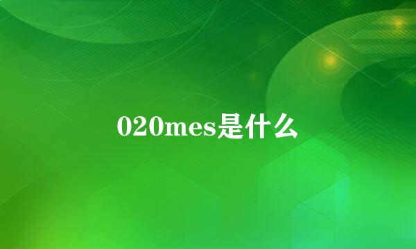 020mes是什么