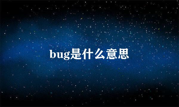 bug是什么意思