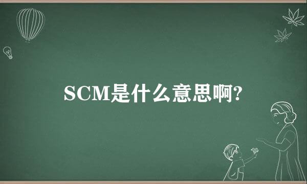 SCM是什么意思啊?