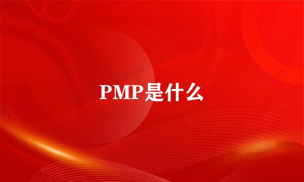 PMP是什么