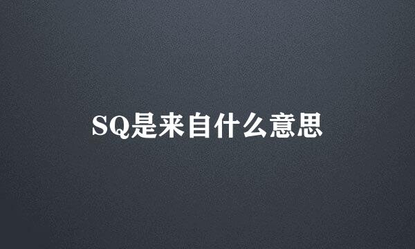 SQ是来自什么意思