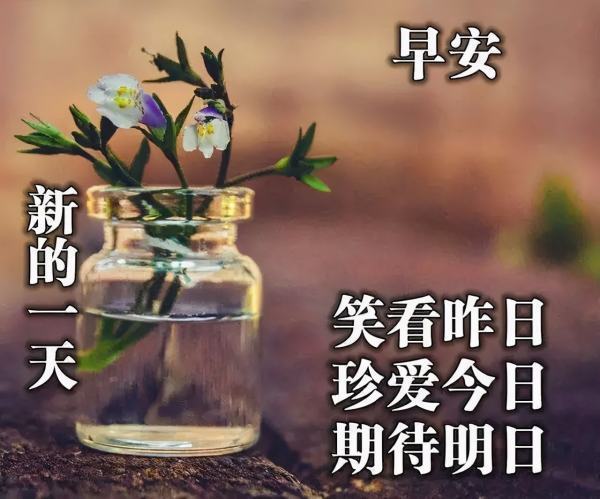 早上好的图片问候语