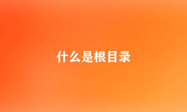 什么是根目录