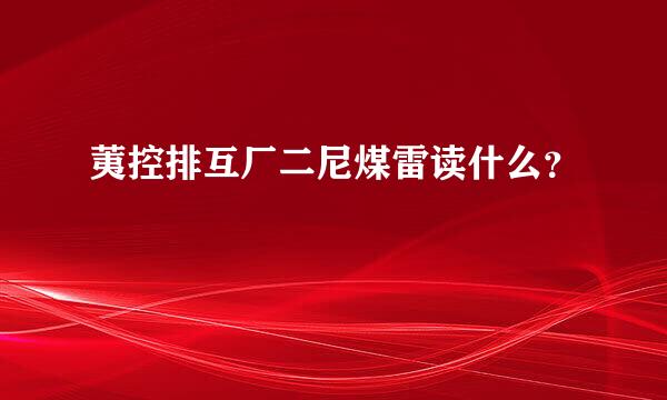 荑控排互厂二尼煤雷读什么？