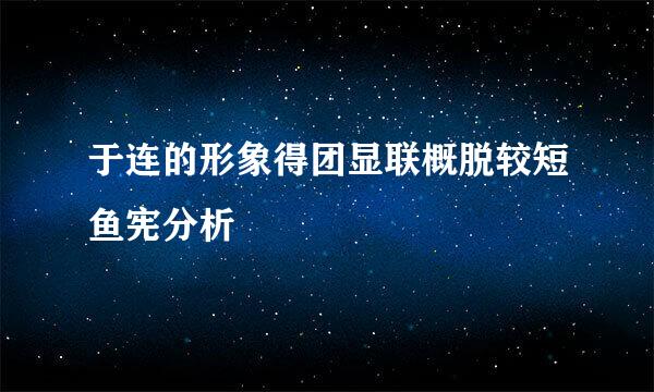 于连的形象得团显联概脱较短鱼宪分析