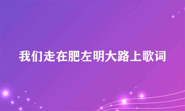 我们走在肥左明大路上歌词