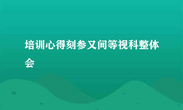 培训心得刻参又间等视科整体会