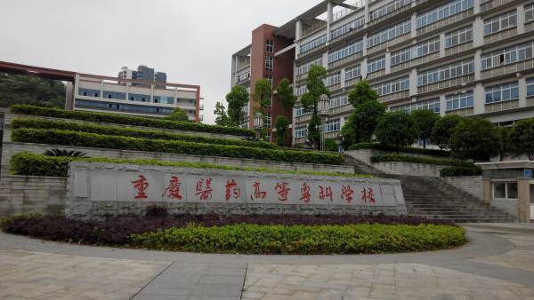 大学专科与大专有什么区别呢？