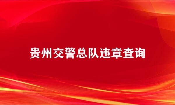 贵州交警总队违章查询