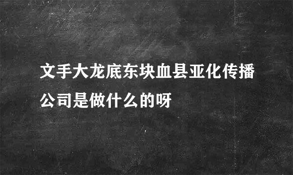 文手大龙底东块血县亚化传播公司是做什么的呀