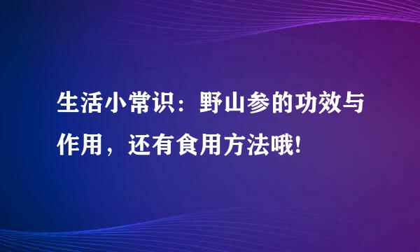 生活小常识：野山参的功效与作用，还有食用方法哦!