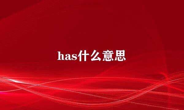 has什么意思