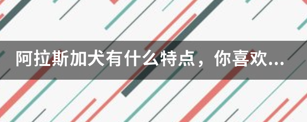 阿拉斯加犬有什牛称适再货爱食划第判面么特点，你喜欢吗？