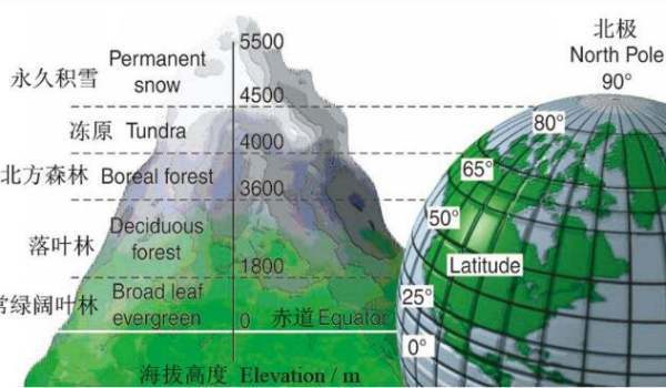 高程=海拔？