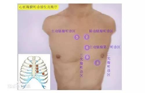 心脏听诊区位置及顺序是怎样的来自？