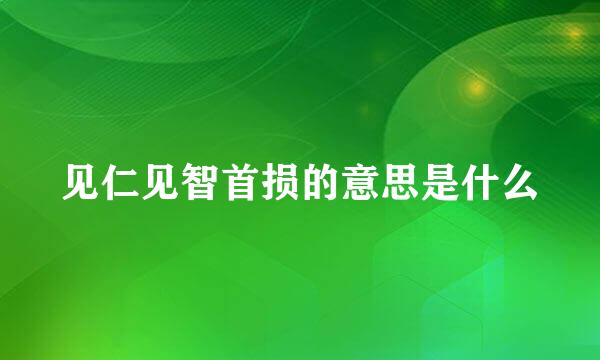 见仁见智首损的意思是什么