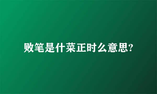 败笔是什菜正时么意思?