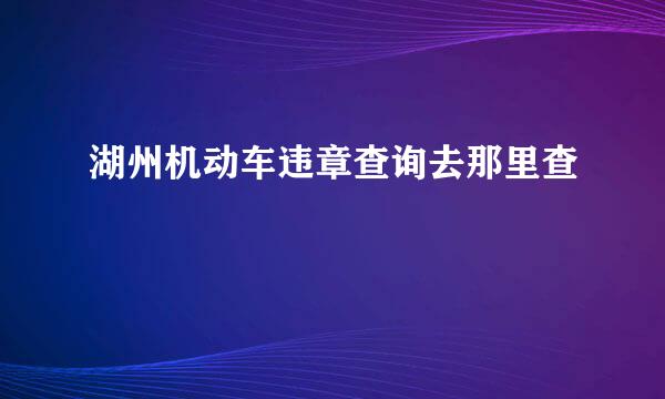 湖州机动车违章查询去那里查