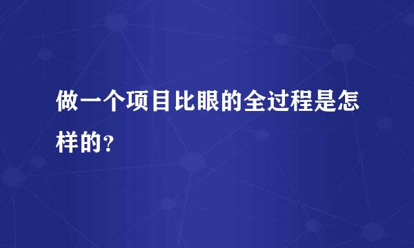 做一个项目比眼的全过程是怎样的？