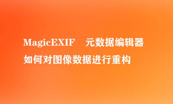 MagicEXIF 元数据编辑器如何对图像数据进行重构