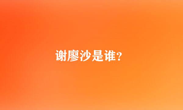 谢廖沙是谁？