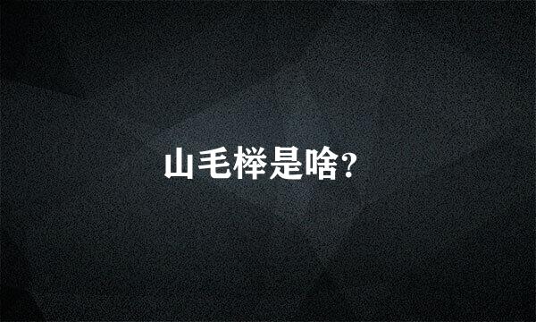 山毛榉是啥？