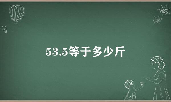 53.5等于多少斤